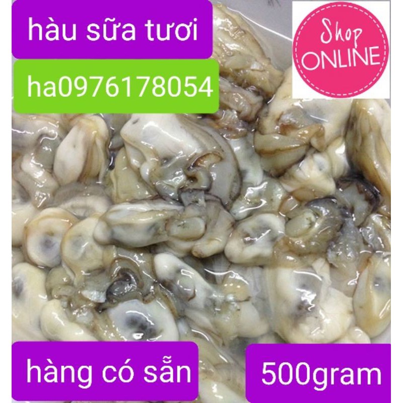 ruột hàu sữa tươi 1kg và 500gram mới