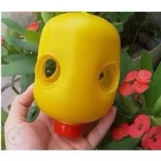 BỘ 5 ĐÈN TREO BẪY RUỒI VÀNG