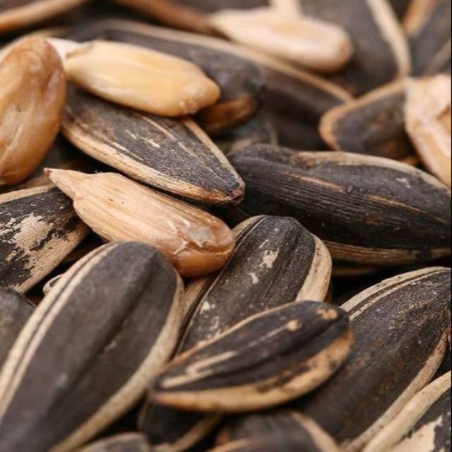 Hướng dương