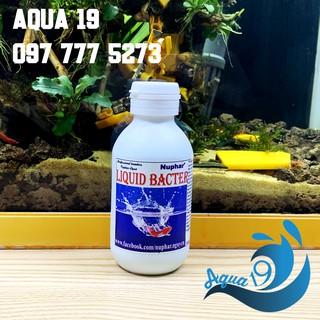 Chế phẩm sinh học vi sinh Nuphar Bacter Liquid chống sốc nước, xử lý nước hồ cá