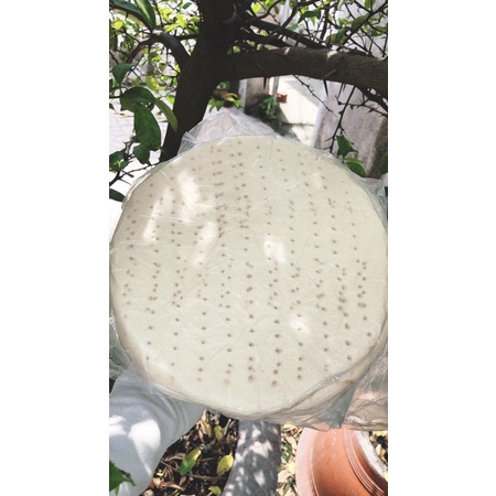 Đế pizza đông lạnh