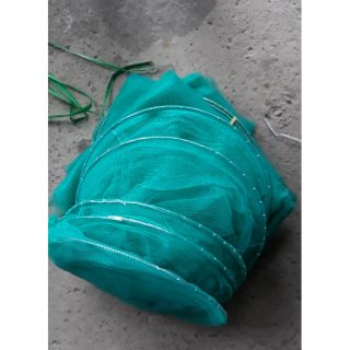 Dớn bắt cá- dớn bắt tôm- dớn bắt tôm cá