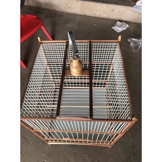 lồng ép mộc chào mào và choè nan phíp