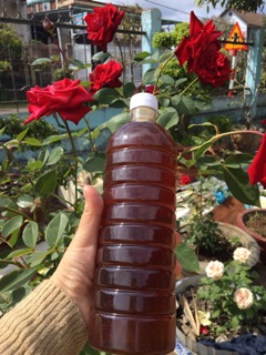 1L mật ong hoa cà phê Dak Lak