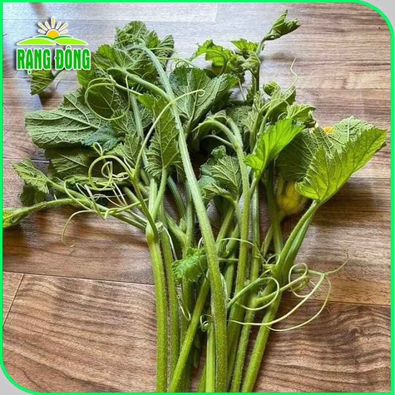 Hạt giống Bầu Siêu Ngọn, dễ trồng, ít chăm sóc, trồng được quanh năm (gói 5gr) - Hạt giống Rạng Đông