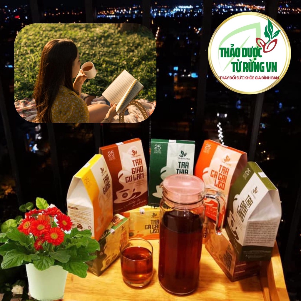 Trà Đinh Lăng Thái Hưng - Trà Thảo Mộc An Thần Ngủ Ngon, Giảm Stress 25 túi lọc 125g Thảo Dược Từ Rừng VN