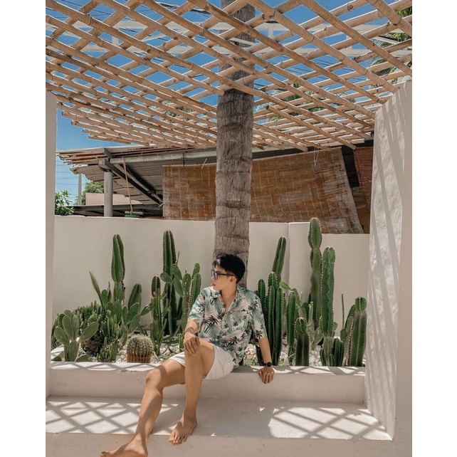 Áo Sơ Mi Tay Ngắn Hoạ Tiết Lá Dừa Cho Nam và Nữ