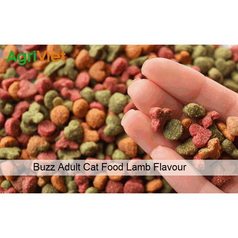 Thức ăn chó cao cấp Buzz Adult Dog Food Vị thịt cừu 500g [HSD: 13/07/2022]