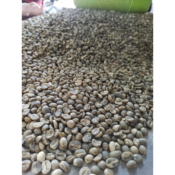 1kg Cà phê nhân xanh Arabica Cầu Đất - TBCAFE | BigBuy360 - bigbuy360.vn
