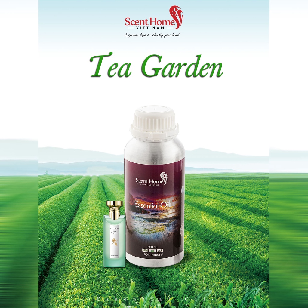 [Chính hãng] Tinh dầu Tea Garden - Scent Homes (Tea Garden - 50ml,100ml,250ml)
