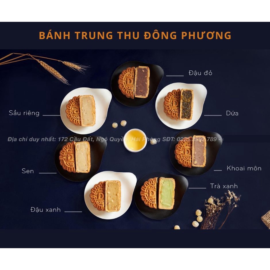 🔥BÁNH TRUNG THU ĐÔNG PHƯƠNG HẢI PHÒNG