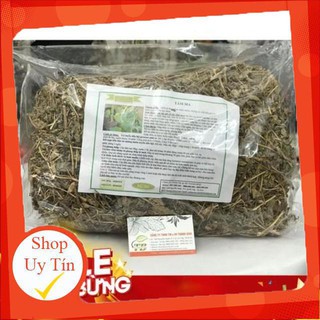 Combo 2kg Cây Tầm Ma (Cây Ngứa) - Thu Hái 100% Tự Nhiên