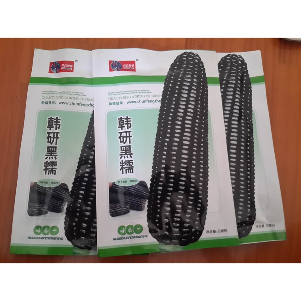 Hạt giống ngô đen thuần cao sản