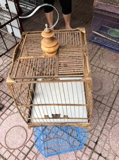 Lồng chào mào Huế kiểu thái