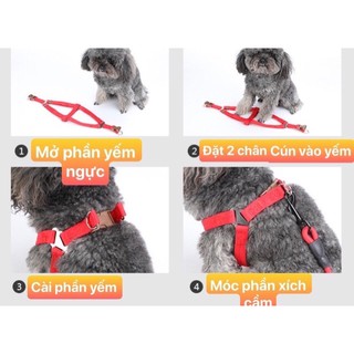 dây xích yếm chó