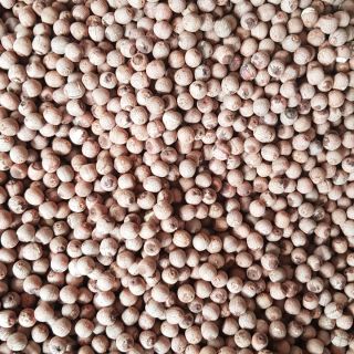Hạt sen hồng Miền Bắc loại 1