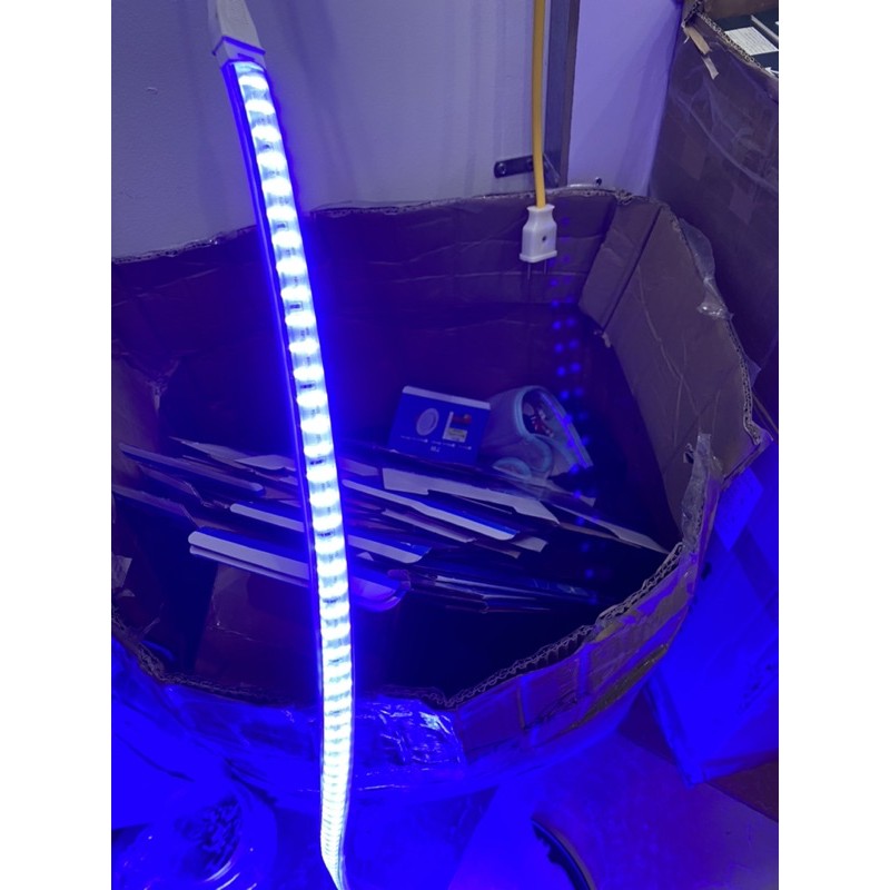 Đèn Led dây đôi 2835 ánh sáng màu xanh dương, ống nhựa 220V(bán theo m)