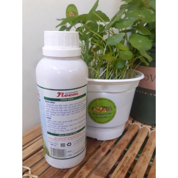 [ Hàng sẵn] Dầu neem chai 500ml Điền Trang