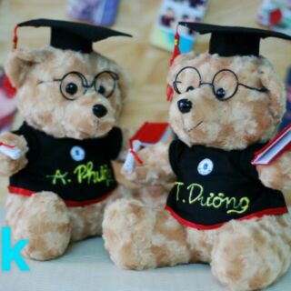 Gấu tốt nghiệp 20cm