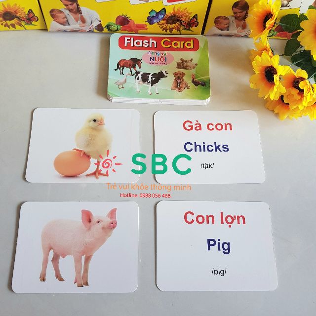 Thẻ học thông minh cỡ lớn 12x16 cm song ngữ Việt Anh TGXQ Glenn doman 15 và 19 chủ đề cho bé