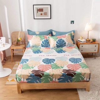 Ga gối cotton 100%