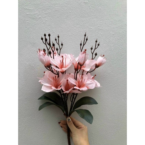 Hoa diên vĩ khô 5 nhánh - hoa diên vĩ giả