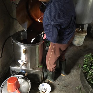 CAO HÀ THỦ Ô BÉ XỊN