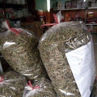 1KG Chè cà gai leo