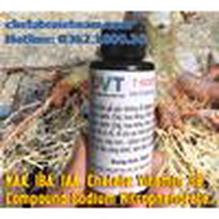 T-ROOT 100% (V02) - Dung dịch siêu kích thích ra rễ (chai 50ml)
