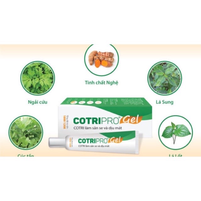 Cotripro gel 25g kem bôi trĩ