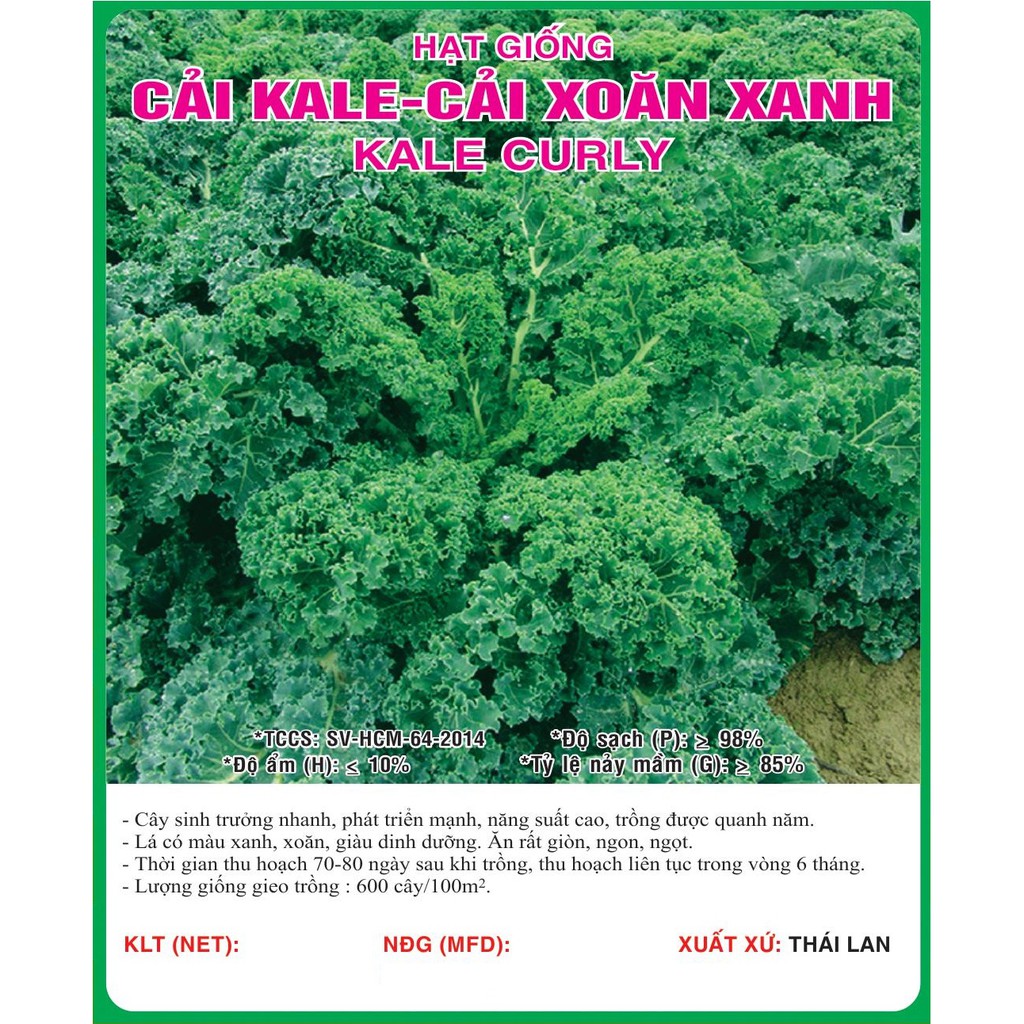 Hạt giống cải xoăn xanh - cải Kale VTS28 | Vạn Tín Store