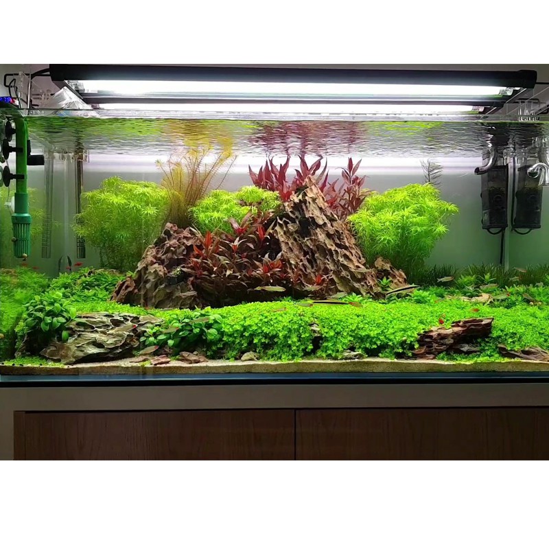 Phân nền thủy sinh Gex xanh - GEX Water Plant Sand