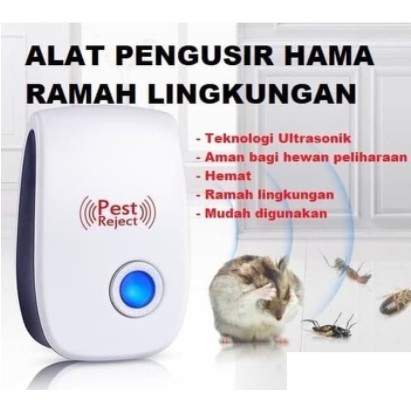 Mô Hình Côn Trùng 100% Mua 1 Get 1 | BigBuy360 - bigbuy360.vn