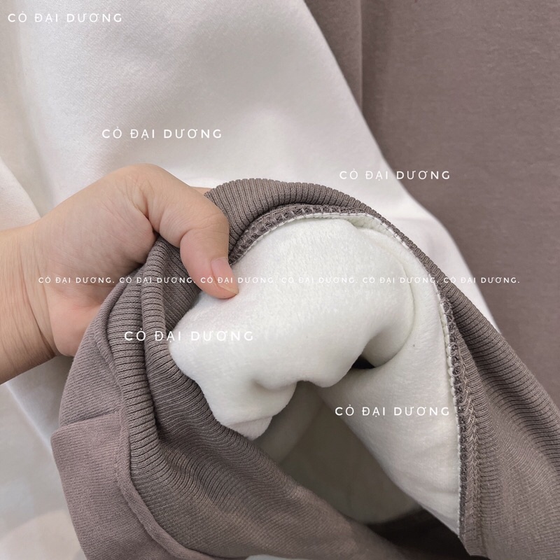 áo nỉ cổ 3p trơn | BigBuy360 - bigbuy360.vn