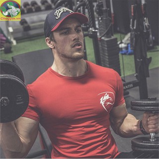 Áo Tập Gym Nam Form Ôm Body Đầu Sói Chất Đẹp