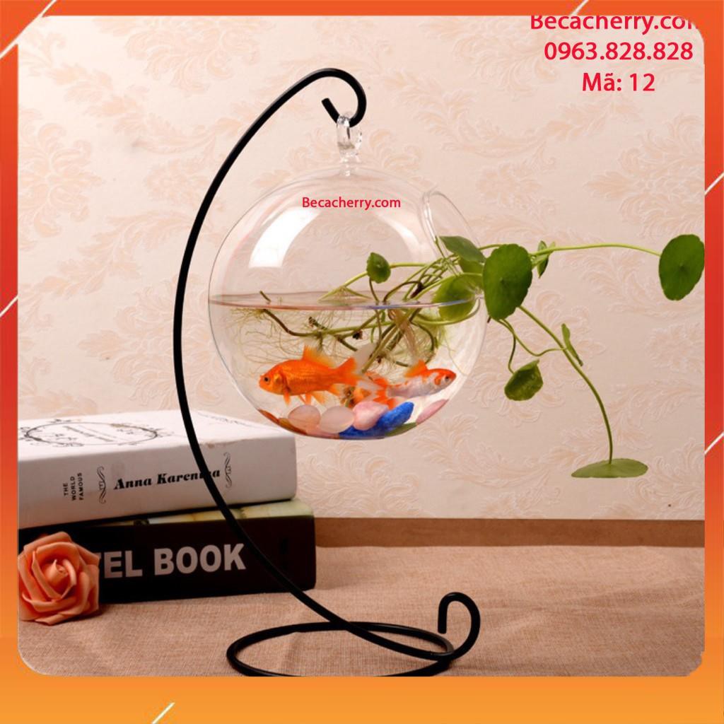 Bể Cá Mini Để Bàn C33 12 Cỡ To ( Tặng kèm combo phụ kiện trang trí )