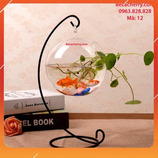 Bể Cá Mini Để Bàn C33 12 Cỡ To ( Tặng kèm combo phụ kiện trang trí )