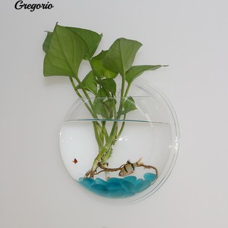 Chậu Cây Cảnh Treo Tường