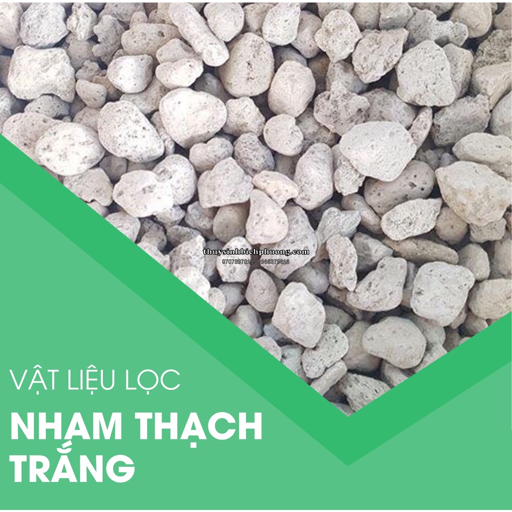 500ML NHAM THẠCH TRẮNG THỔ NHĨ KỲ - VLL SIÊU TỐT, SIÊU RẺ (SIZE 3-8MM)