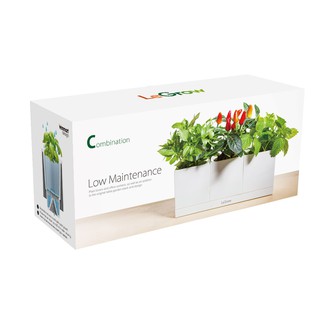Bộ 3 chậu trồng cây thông minh Legrow - Basic Kit
