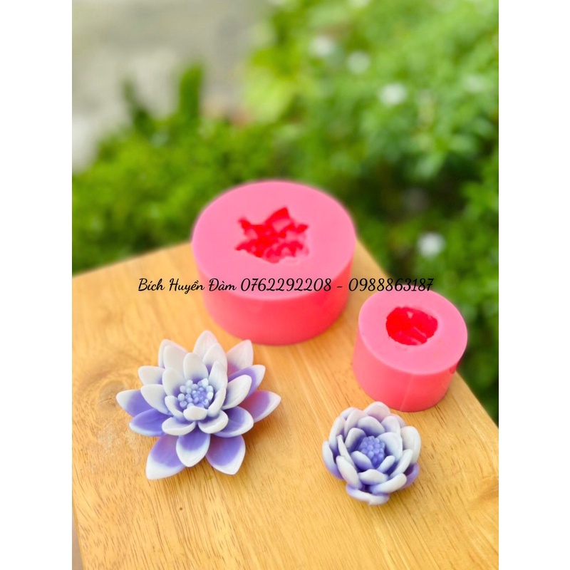 Khuôn silicon Hoa súng lớn/nhỏ làm rau câu