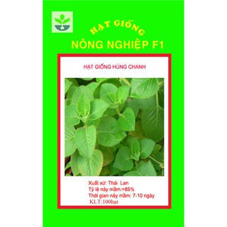 Gói 100 hạt giống húng chanh