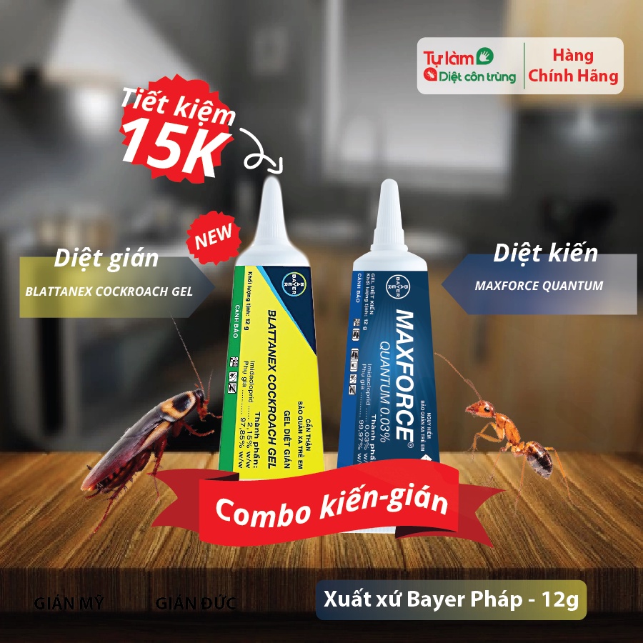 Maxforce Quantum Vs Blattanex Cockroch Gel, Tiết Kiệm Hơn