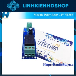 Module Delay Relay 12V NE555