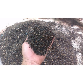 1 ký Hỗn hợp đất trồng sen đá, xương rồng siêu tốt