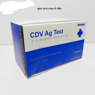 Que test Care ở chó(Hàn Quốc)