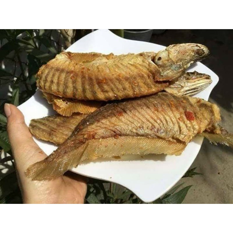 45k 1 con Cá Thác Lác Rút Xương tầm 300gr(Chỉ giao TP HCM)