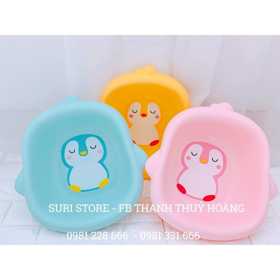 Chậu rửa mặt chim cánh cụt