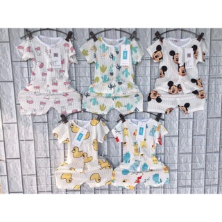 Bộ cotton sợi tre QC