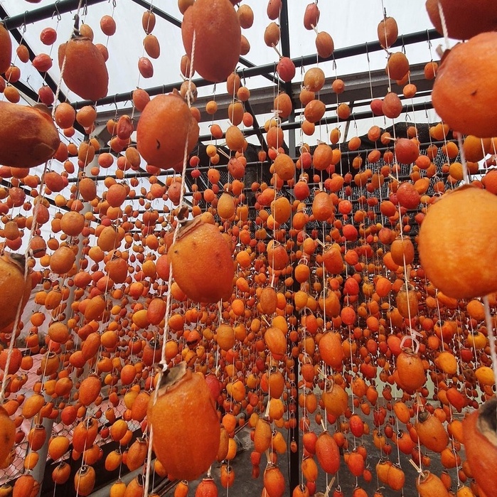 🧡Hồng Treo Gió Đà Lạt 🧡 Không Hạt Hộp 500gram ❤️Quà Tặng | BigBuy360 - bigbuy360.vn